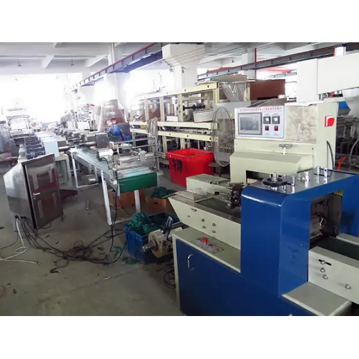 12 Werna Modeling Clay Packaging Machine 12 Werna Modeling Clay Packaging Machine